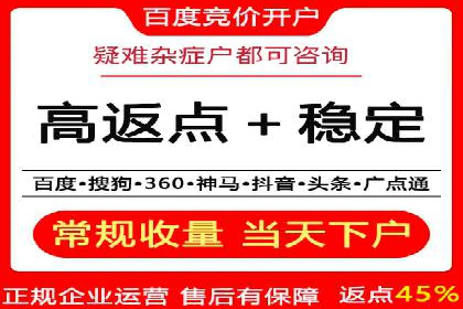 百度推广返点揭秘：真实案例分析